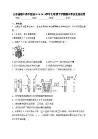 山东省德州市平原县2023-2024学年七年级下学期期末考试生物试卷(含答案)