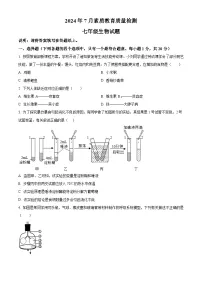 山东省菏泽市曹县2023-2024学年七年级下学期期末生物学试题（原卷版+解析版）