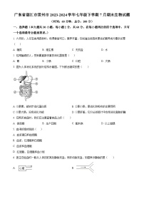 广东省湛江市雷州市2023-2024学年七年级下学期期末生物学试题（原卷版+解析版）