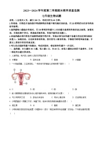 广东省阳江市阳东区2023-2024学年七年级下学期期末生物学试题（原卷版+解析版）