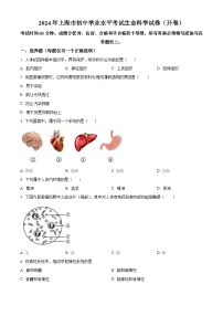 2024年上海市中考生物试题（2份打包，原卷版+解析版）
