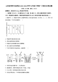 山东省菏泽市成武县2023-2024学年七年级下学期期末生物学试题（原卷版+解析版）