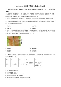 湖北省黄冈市麻城市2023-2024学年八年级下学期期中生物学试题（原卷版+解析版）