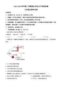 河北省承德市平泉市2023-2024学年七年级下学期期末生物学试题（原卷版+解析版）