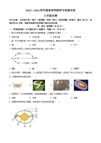 甘肃省陇南市西和县2023-2024学年八年级下学期期末生物学试题（原卷版+解析版）