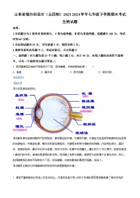 山东省烟台市招远市2023-2024学年七年级下学期期末生物学试题（解析版）