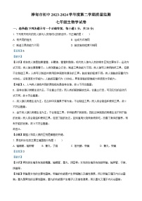 吉林省吉林市桦甸市2023-2024学年七年级下学期期末生物学试题（解析版）