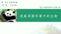生物七年级上册（2024）第一节 观察周边环境中的生物教案配套ppt课件