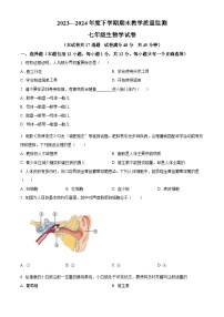 辽宁省丹东市东港市2023-2024学年七年级下学期期末生物学试题（原卷版+解析版）