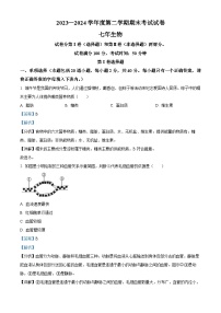 辽宁省铁岭市铁岭县2023-2024学年七年级下学期期末生物学试题（解析版）