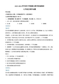 黑龙江省齐齐哈尔市龙江县2023-2024学年七年级下学期期末生物试题（解析版）