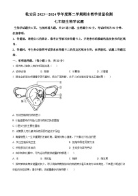 吉林省松原市乾安县2023-2024学年七年级下学期期末生物学试题（原卷版+解析版）