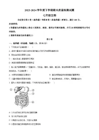 山东省临沂市兰陵县2023-2024学年七年级下学期期末生物学试题（原卷版+解析版）