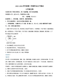 河北省张家口市张北县2023-2024学年七年级下学期期末生物试题（解析版）