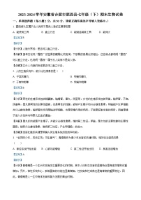 安徽省合肥市肥西县2023-2024学年七年级下学期期末生物试题（解析版）