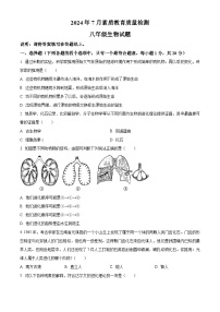 山东省菏泽市曹县2023-2024学年八年级下学期期末生物学试题（原卷版+解析版）