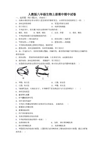 人教版八年级生物上册期中期中试卷（含答案和解析）