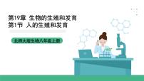 初中生物北师大版（2024）八年级上册第六单元  生命的延续第19章  生物的生殖和发育第1节   人的生殖和发育试讲课ppt课件