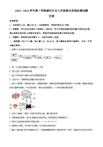 内蒙古鄂尔多斯市康巴什区2023-2024学年七年级下学期期末生物学试题（原卷版）