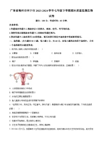 广东省梅州市兴宁市2023-2024学年七年级下学期期末生物学试题（原卷版）