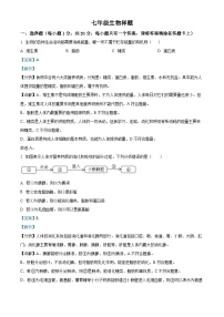 山东省菏泽市定陶区2023-2024学年七年级下学期期末生物学试题（解析版）