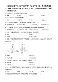 辽宁省大连市甘井子区2023-2024学年七年级下学期期末生物学试题（原卷版+解析版）