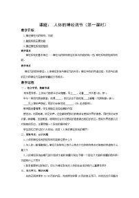 生物八年级上册第6单元 生命活动的调节和生态系统的稳定第16章 人体生命活动的调节1 人体的神经调节优质课教学设计