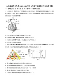 山东省菏泽市单县2023-2024学年七年级下学期期末生物试题（原卷版+解析版）