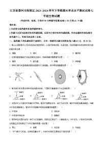 江苏省泰州市海陵区2023-2024学年七年级下学期期末生物试题（原卷版+解析版）