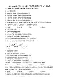 安徽省阜阳市界首市2023-2024学年七年级上学期期末生物学试题（原卷版+解析版）