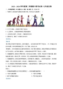 江西省赣州市南康区2023-2024学年七年级下学期期中生物学试题（解析版）