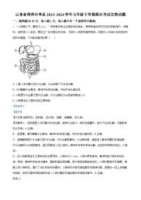 山东省菏泽市单县2023-2024学年七年级下学期期末生物试题（解析版）