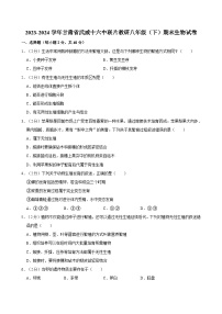 甘肃省武威市第十六中学联片教研2023-2024学年八年级下学期期末考试生物试卷