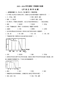 山东省济宁市邹城市2023-2024学年七年级下学期期中生物学试题（原卷版）