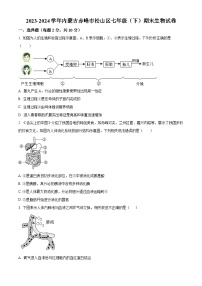 内蒙古赤峰市松山区2023-2024学年七年级下学期期末生物学试题（原卷版）