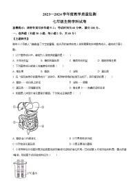 广东省揭阳市揭西县2023-2024学年七年级下学期期末生物学试题（原卷版）