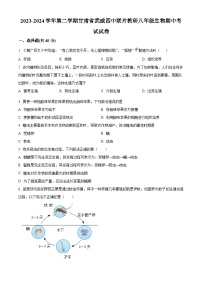 甘肃省武威第四中学2023-2024学年八年级下学期期中生物试题（原卷版）