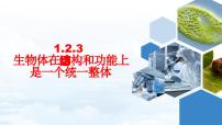 济南版（2024）七年级上册（2024）第一单元 奇妙的生命现象第二章 生物体具有一定的结构层次第三节 生物体在结构和功能上是一个统一整体优秀ppt课件