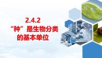 初中生物济南版（2024）七年级上册（2024）第二节 “种”是生物分类的基本单试讲课课件ppt