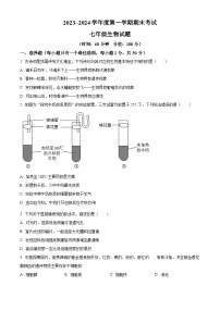 山东省滨州市滨城区2023-2024学年七年级上学期期末考试生物试题（原卷版）