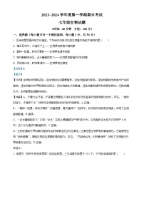 山东省滨州市滨城区2023-2024学年七年级上学期期末考试生物试题（解析版）