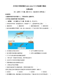 重庆市开州区开州初中教育集团2023-2024学年八年级下学期期中生物试题（原卷版+解析版）