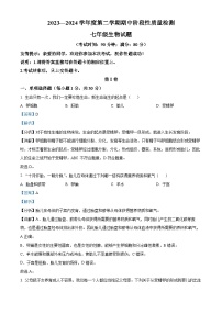 山东省青岛市即墨区多校联考2023-2024学年七年级下学期期中生物试题（解析版）