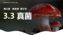 初中生物第三节 真菌课文内容ppt课件