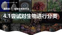 生物七年级上册（2024）第一节 尝试对生物进行分类图片ppt课件