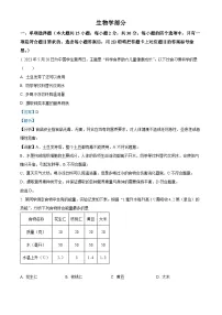 广西壮族自治区崇左市宁明县2023-2024学年七年级下学期期末生物学试题（解析版）