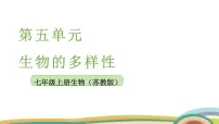 生物第3节 生物资源的保护评课ppt课件