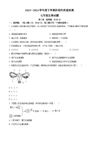 山东省临沂市莒南县2023-2024学年七年级下学期期中生物学试题（原卷版）