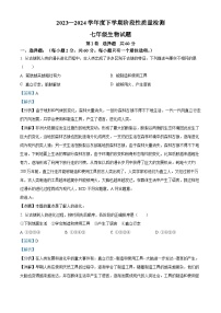 山东省临沂市莒南县2023-2024学年七年级下学期期中生物学试题（解析版）