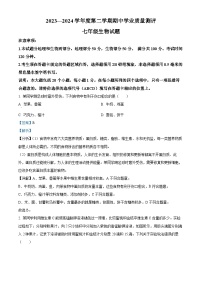 山东省菏泽市成武县2023-2024学年七年级下学期期中生物试题（解析版）